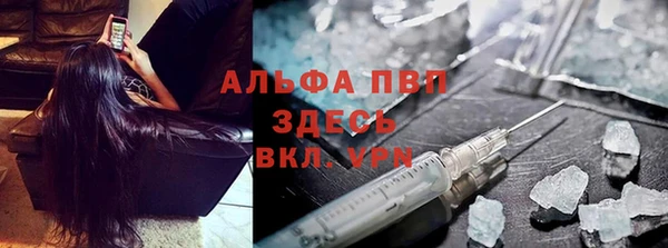 ECSTASY Богородицк