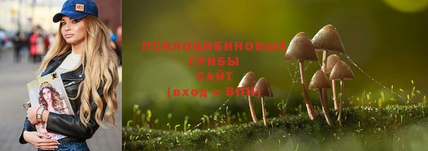 круглые Белокуриха