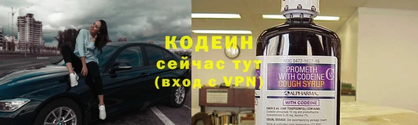 СК Богородск