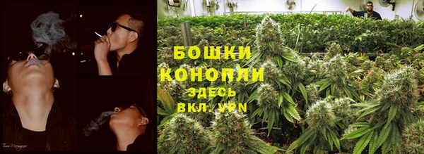 СК Богородск