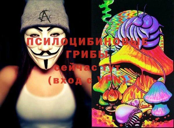 СК Богородск
