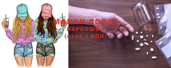 ECSTASY Богородицк