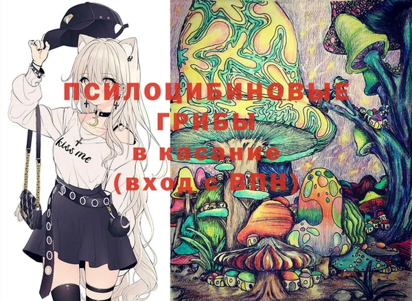 ECSTASY Богородицк