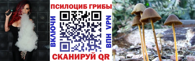 как найти наркотики  KRAKEN как войти  Псилоцибиновые грибы Psilocybine cubensis  Ува 